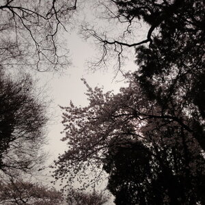 [DSC-WX1] 013.jpg